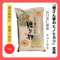 専用ページ　コシヒカリ　玄米30kg　山間地減農薬 専用ページ コシヒカリ 玄米30kg 山間地減農薬