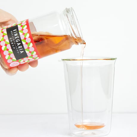 【ギフト】自分で育てるフルーツビネガー　VINEGARIA（ビネガリア ）３本BOX