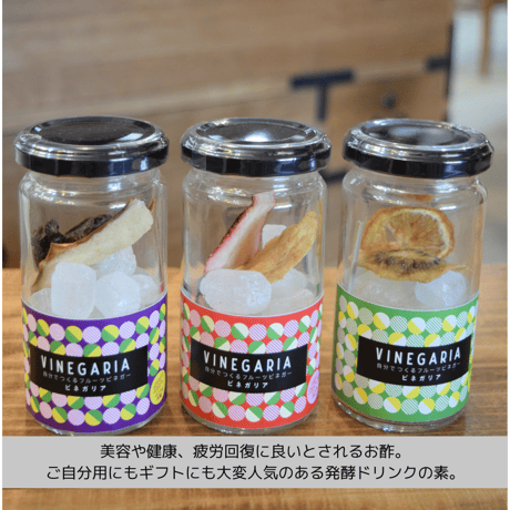 【ギフト】自分で育てるフルーツビネガー　VINEGARIA（ビネガリア ）３本BOX