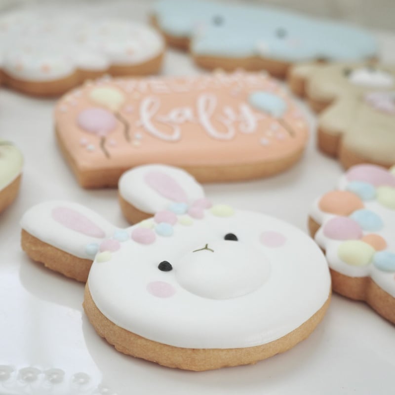 出産祝い/バースデーアイシングクッキーset【どうぶつ