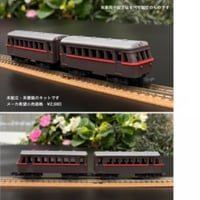 塗り鉄Vol1　 半流線形特急チーゼルカー2両セット　３Dプリントキット