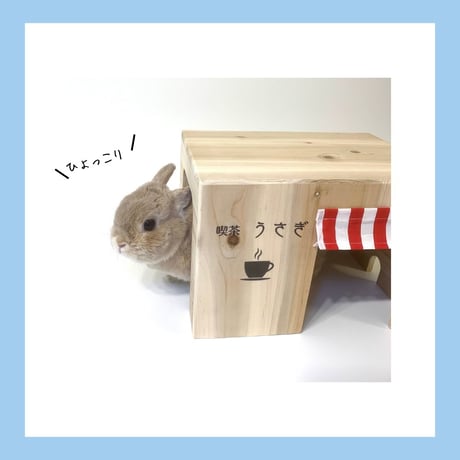 ☕️ 【うさぎの レトロ喫茶ハウス】 🍹 (※展示品で使用したため10%OFF)