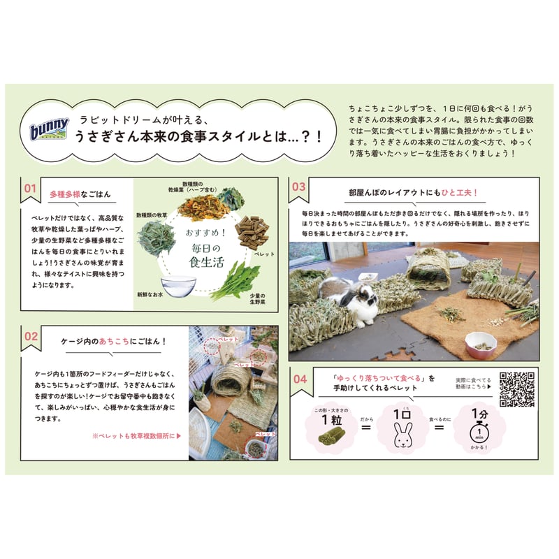 Rabbit Dream BASIC （ラビットドリームベーシック）6ヶ月から | Rabbi