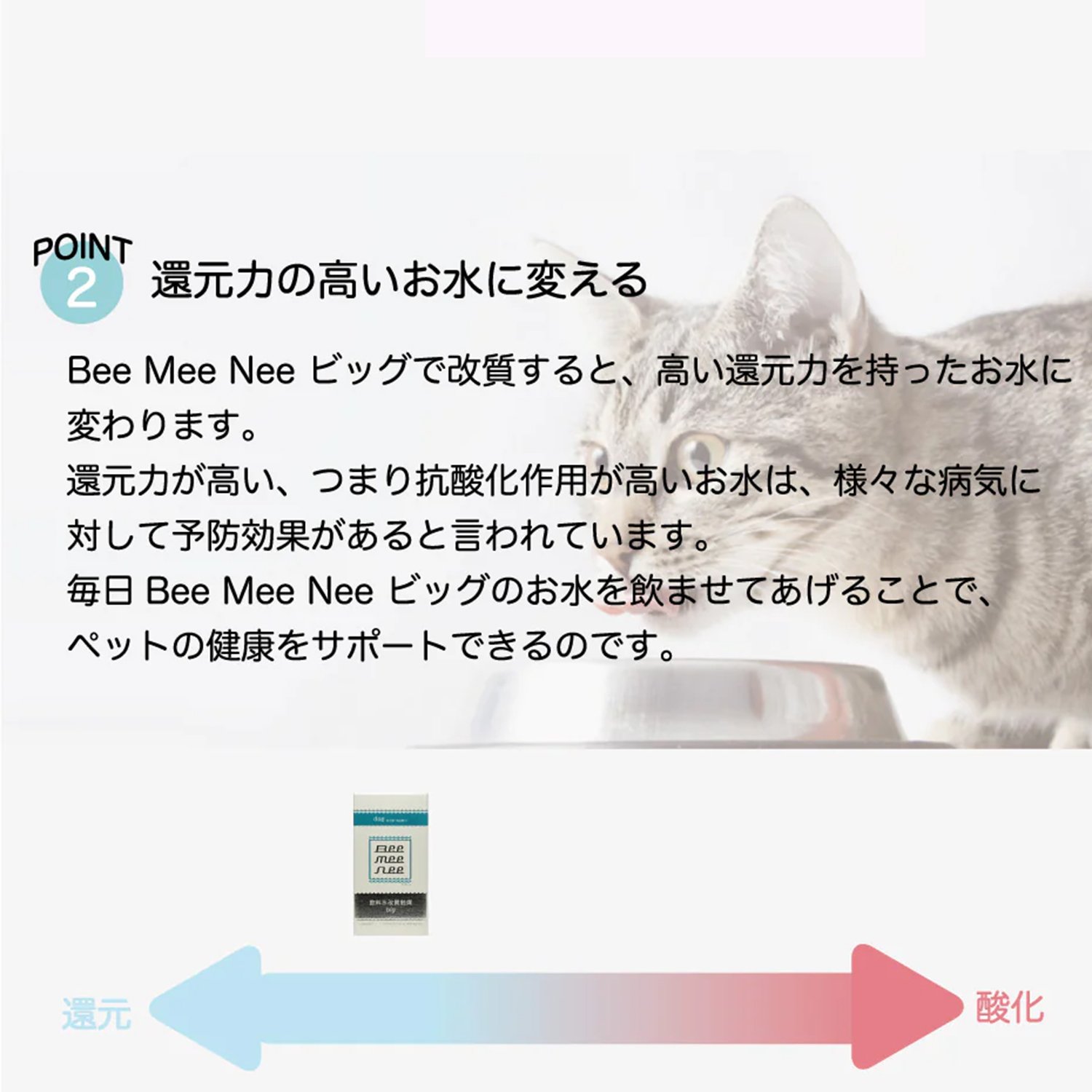 🐰【BeeMeeNee ビーミーニー 飲料水改質触媒 ビッグ DOG】💧 | Rabbit EXPO