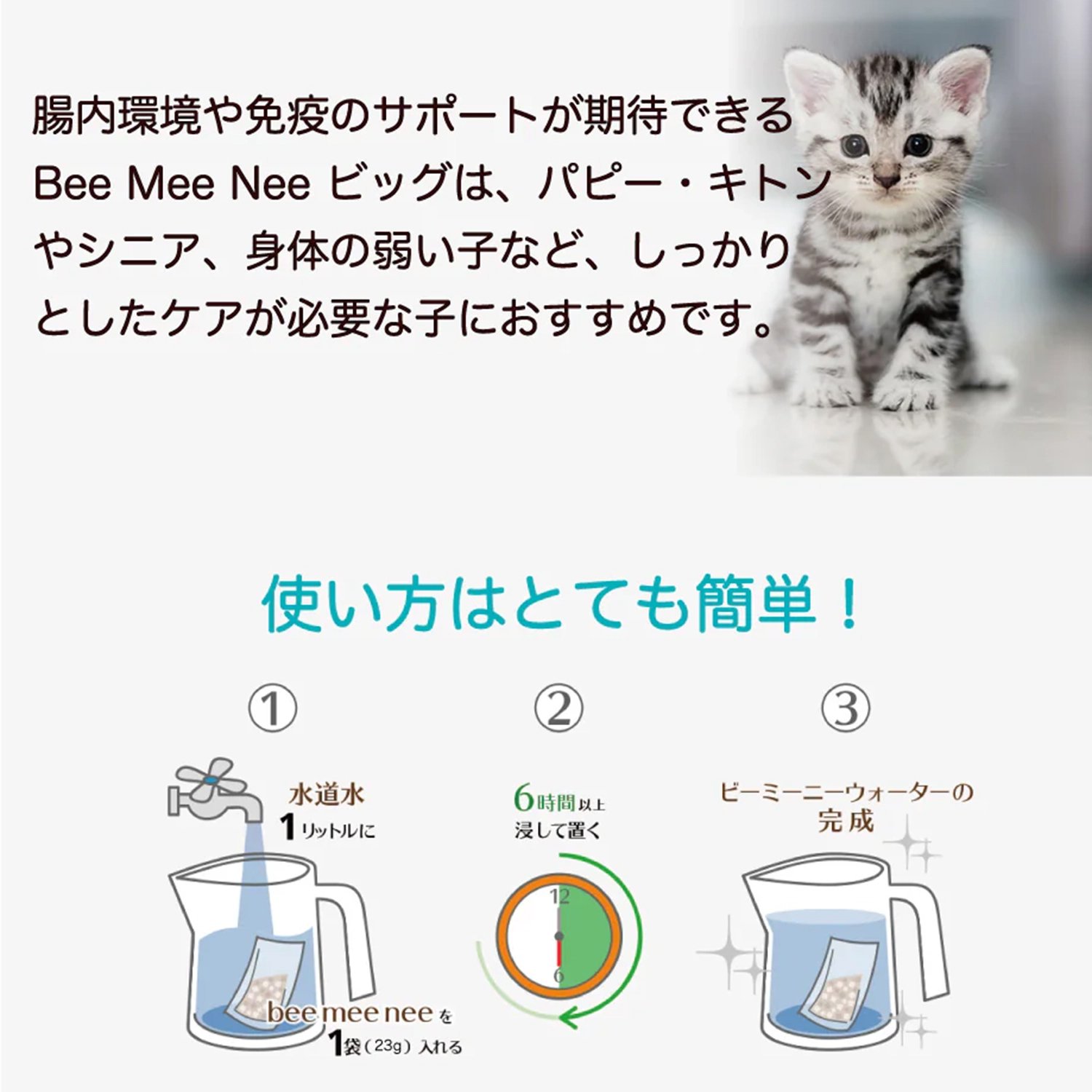 🐰【BeeMeeNee ビーミーニー 飲料水改質触媒 ビッグ DOG】💧 | Rabbit EXPO