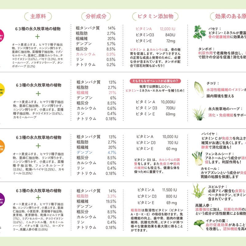 Rabbit Dream BASIC （ラビットドリームベーシック）6ヶ月から | Rabbi