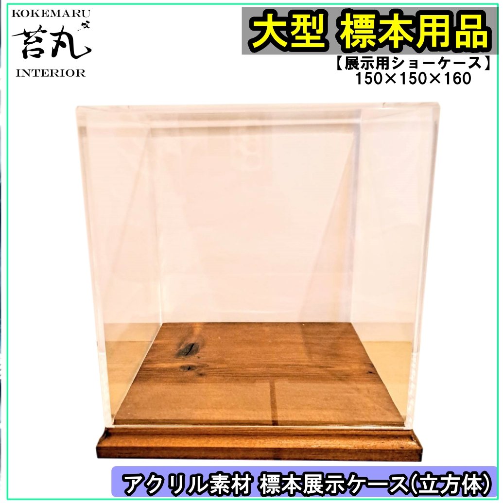 大型標本展示用ショーケース】150×150×160 ※アクリル製ケース、無垢材