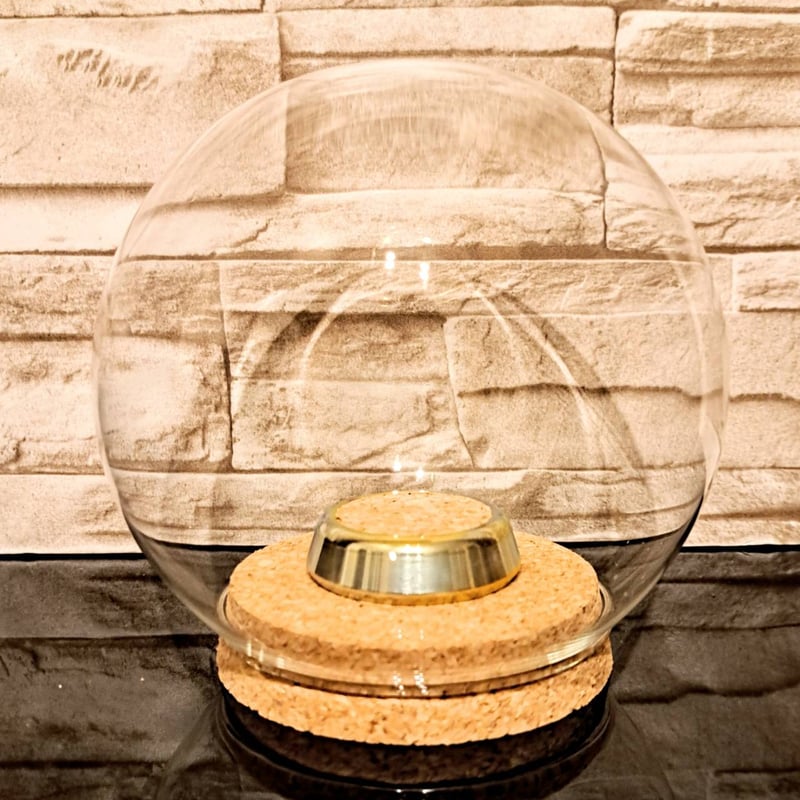 アンティーク ガラスドーム展示ケース ガラスドーム型展示ケース(L)】直径15㎝ 針刺しコルク台座付き | 苔丸