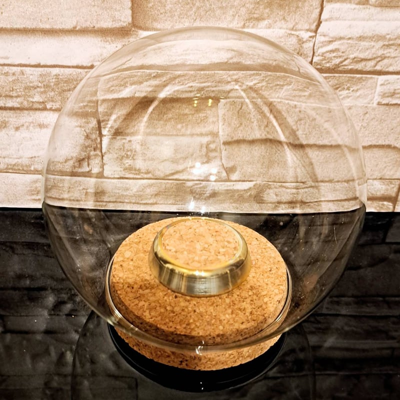 ガラスドーム型展示ケース(L)】直径15㎝ 針刺しコルク台座付き | 苔丸