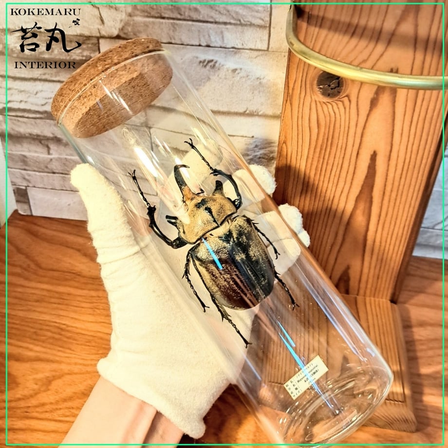 65782d2fcbce52003004bbd5