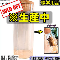 【標本用品】標本展示インテリアガラス容器(苔丸オリジナル 大サイズ)※防虫加工処理済み