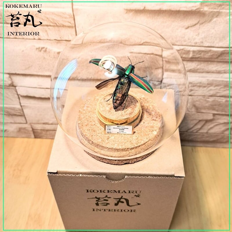 美術館級 特大作品 31cm ドームナンシー コロシント型 置物 昆虫文 瓢箪 美術館級 特大作品 31cm ドームナンシー コロシント型 置物 昆虫