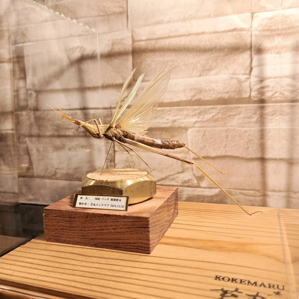 fit=scale-down,w=1200