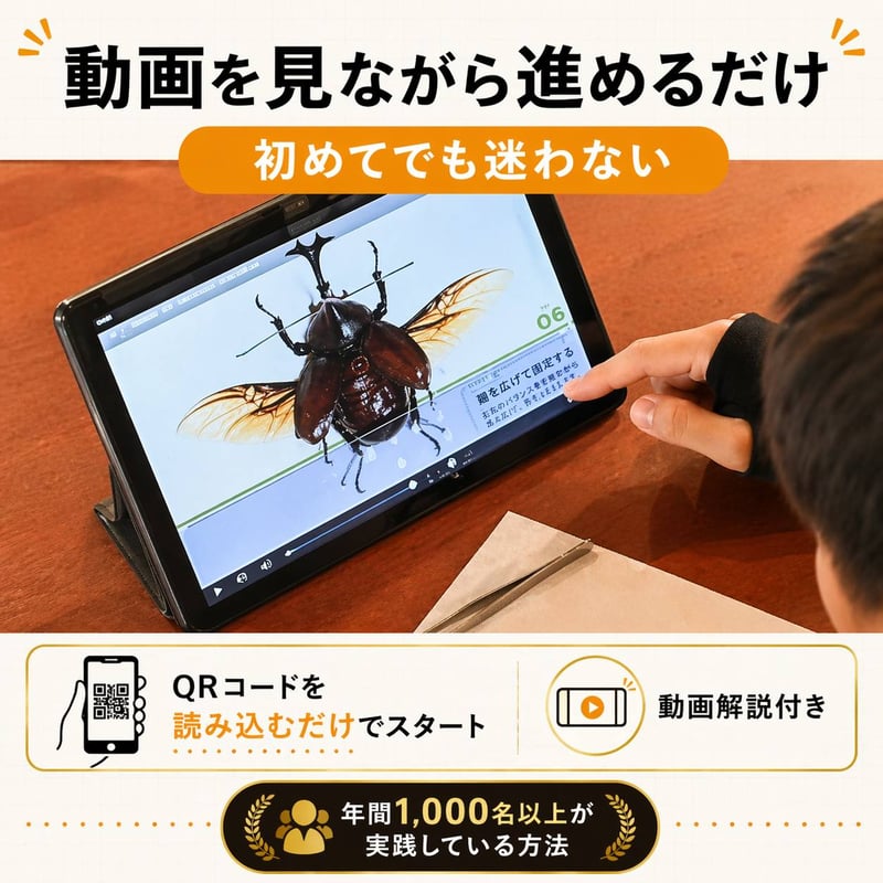 本格標本キット】初心者OK｜昆虫標本が自宅で作れる｜動画解説付き