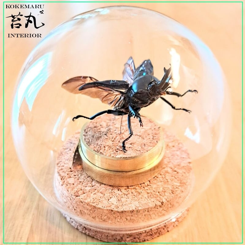 美術館級 特大作品 31cm ドームナンシー コロシント型 置物 昆虫文 瓢箪 Amazon.co.jp: CORHAD 4 個 模擬昆虫セミ セミのおもちゃ 模擬