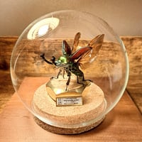 【HYOHON『球』M】ニジイロクワガタ♂ノーマルカラー 立体標本(開翅仕上げ)ガラスドーム真鍮装飾展示