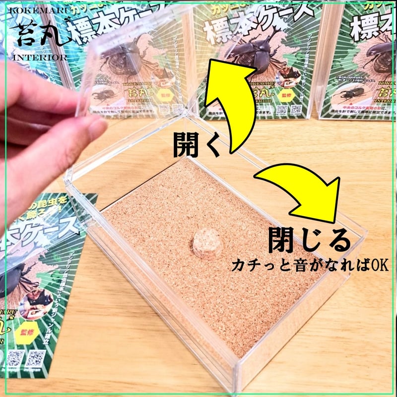 大型標本箱　5箱 大型標本箱 5箱