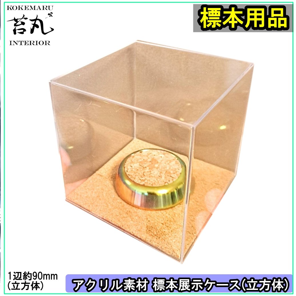 5個入りお徳用【標本展示用アクリルケース】(立方体9㎝)