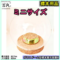 【ガラスドーム型展示ケース(Ｓ)】直径10㎝ 針刺しコルク台座付き