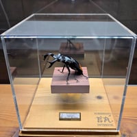 HYOHON『角』s20】ヘラクレスオオカブト♂142.3mm 立体標本立体飛翔