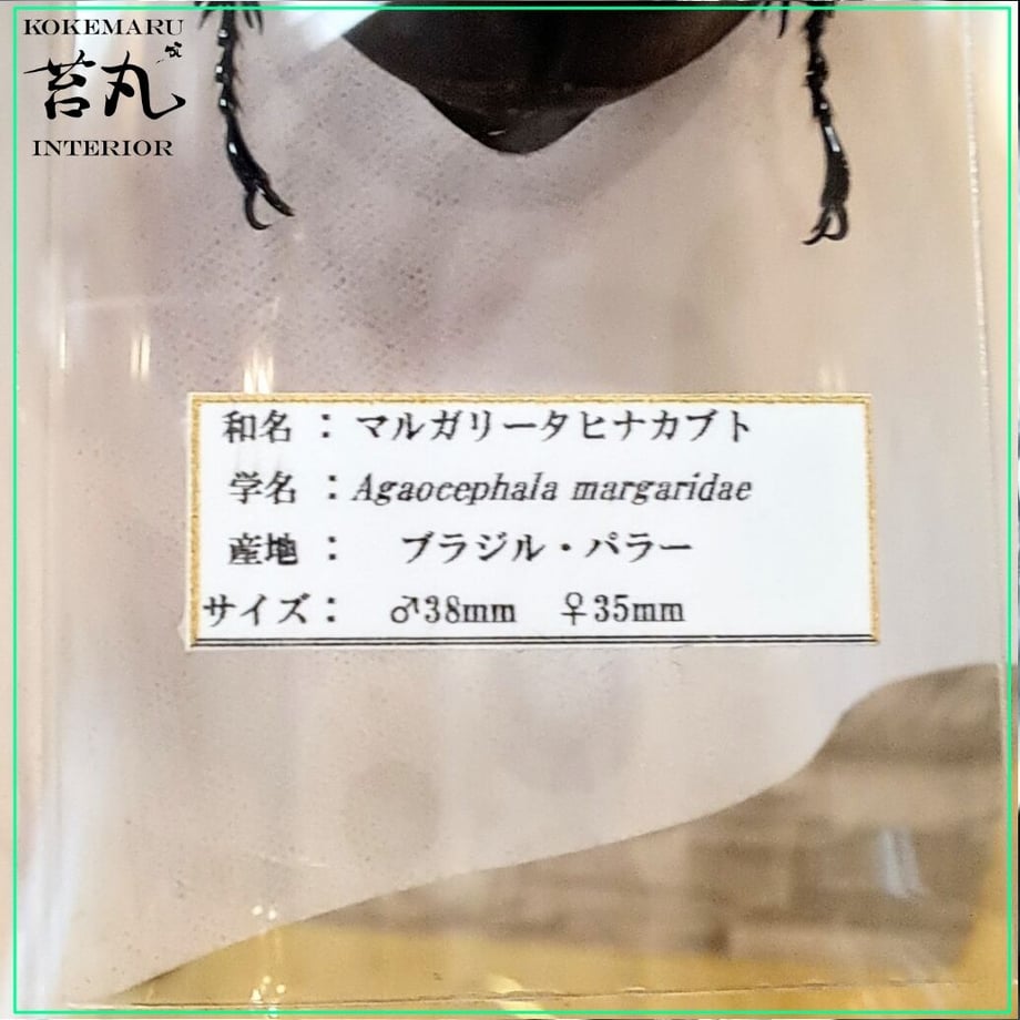 64aa740669f94d003f63ca25