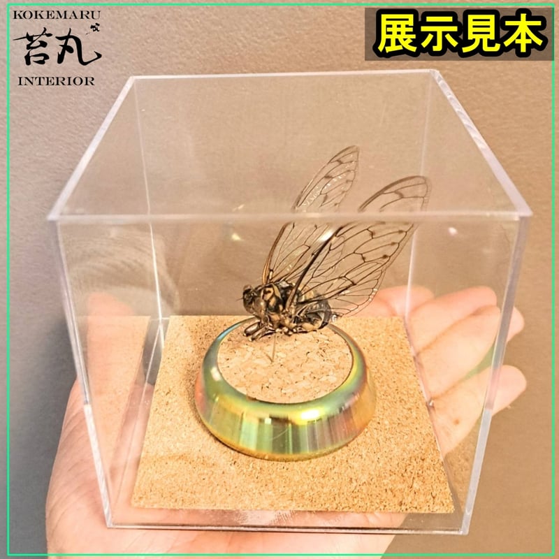 キューブ型展示ケース(M)】アクリル素材 90mmサイズ 針刺しコルク台座