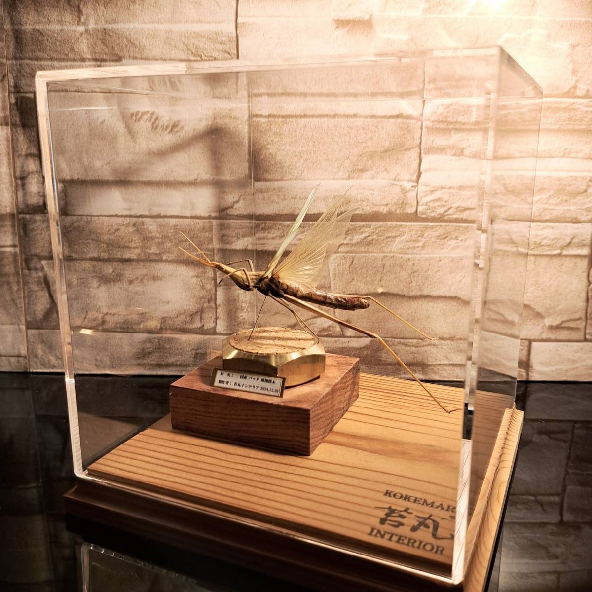 fit=scale-down,w=1200