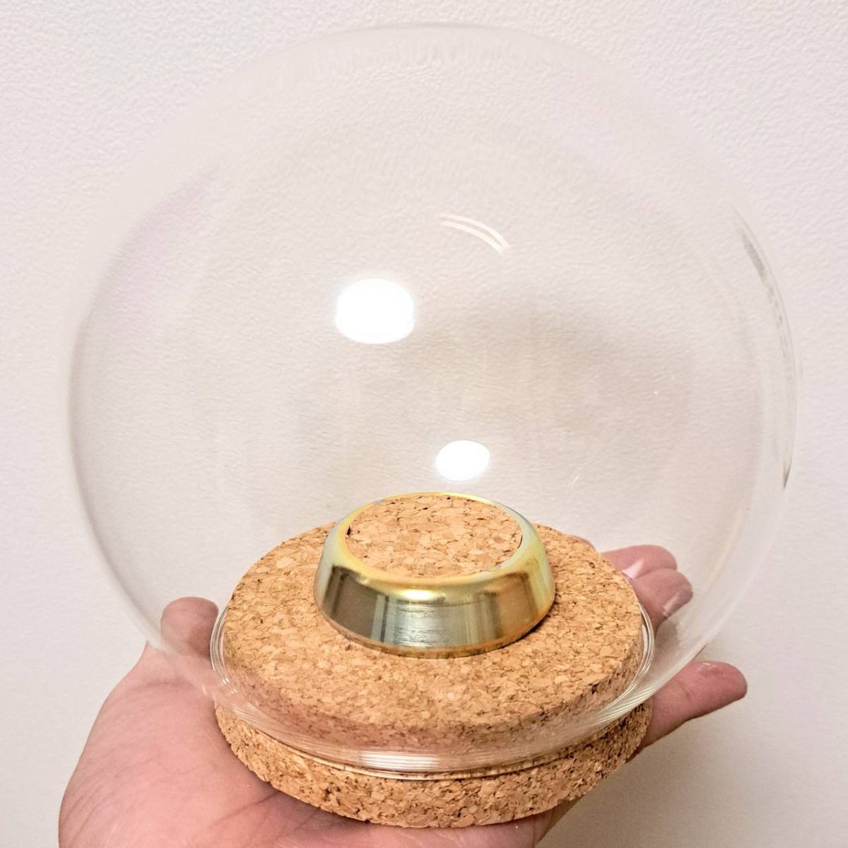 ガラスドーム型展示ケース(L)】直径15㎝ 針刺しコルク台座付き ガラスドーム型展示ケース(L)】直径15㎝ 針刺しコルク台座付き