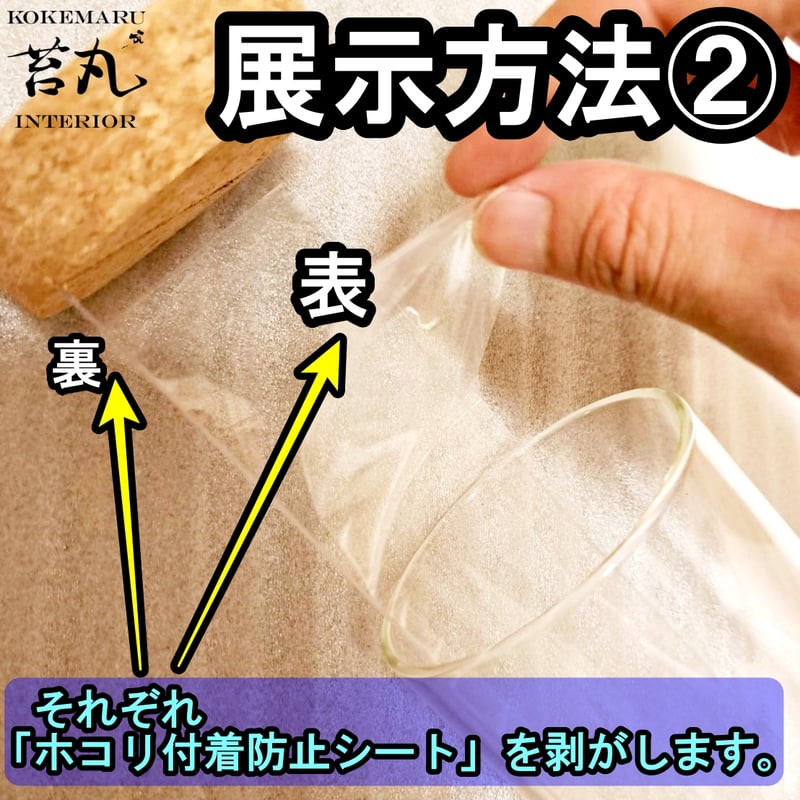 標本用品】標本展示インテリアガラス容器(苔丸オリジナル 大サイズ