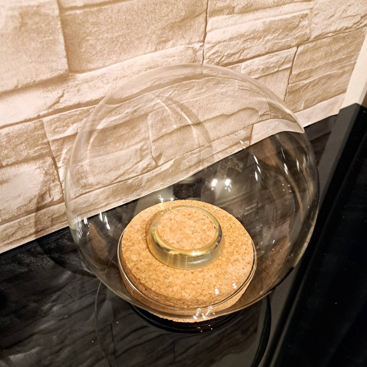 ガラスドーム型展示ケース(L)】直径15㎝ 針刺しコルク台座付き | 苔丸