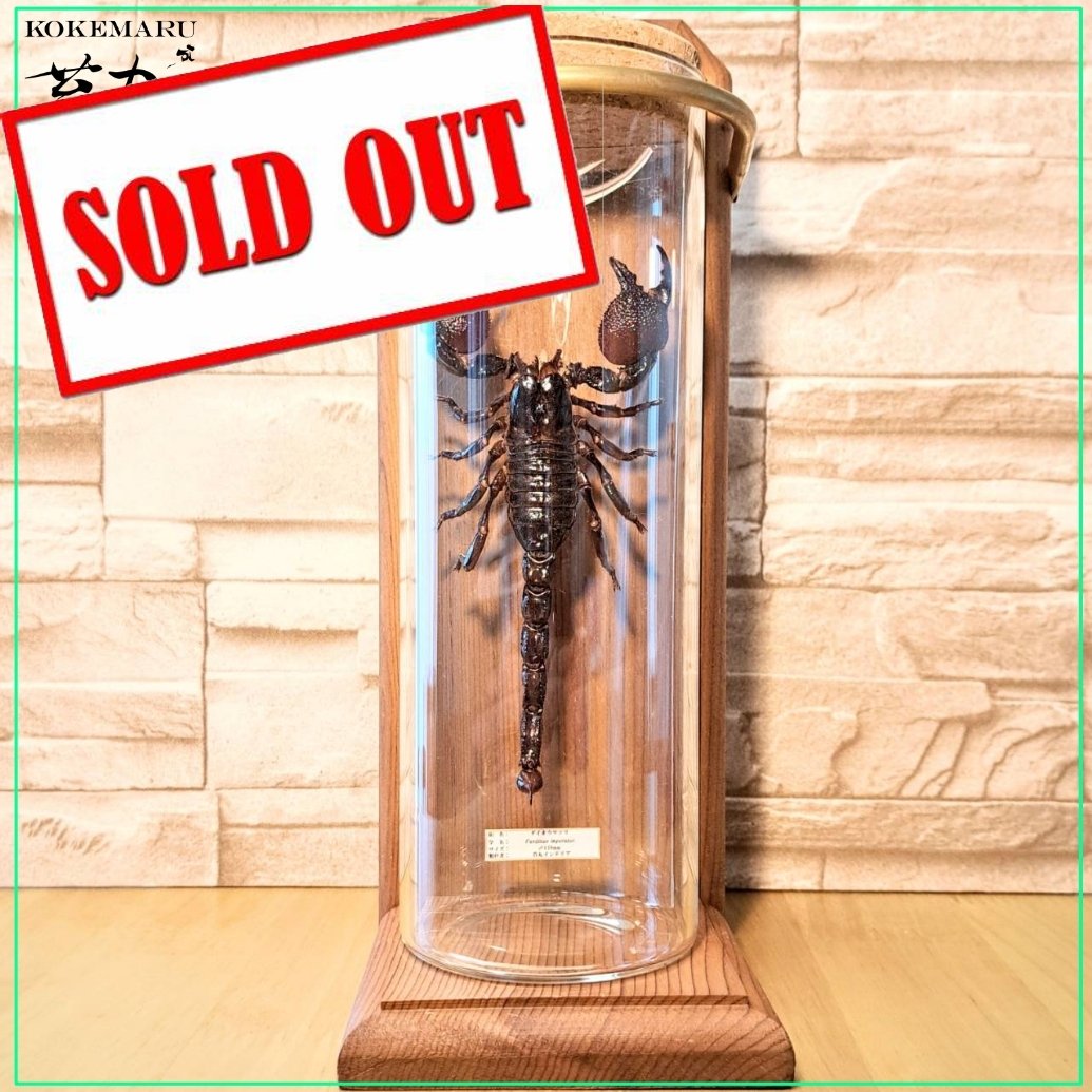 fit=scale-down,w=1200