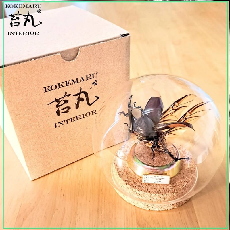 【限定】NUMBER ２COMBO ソフビ　カブトムシ　甲虫　ムシロ【新品未開封 限定】NUMBER 2COMBO ソフビ カブトムシ 甲虫 ムシロ【新品未開封