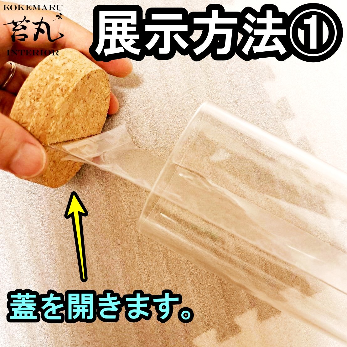 標本用品】標本展示インテリアガラス容器(苔丸オリジナル 大サイズ