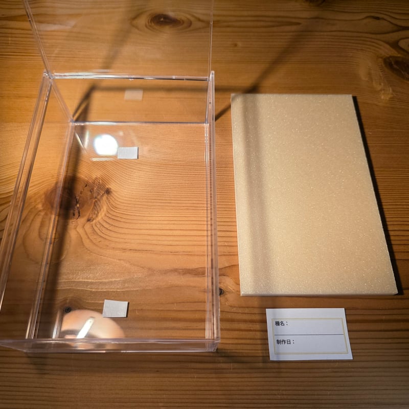 クワガタ標本 8体セット 展示ケース付き 楽天市場】昆虫標本 ケースの通販