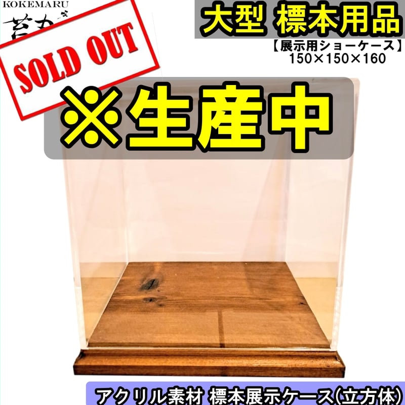 大型標本展示用ショーケース】150×150×160 ※アクリル製ケース 大型標本展示用ショーケース】150×150×160 ※アクリル製ケース