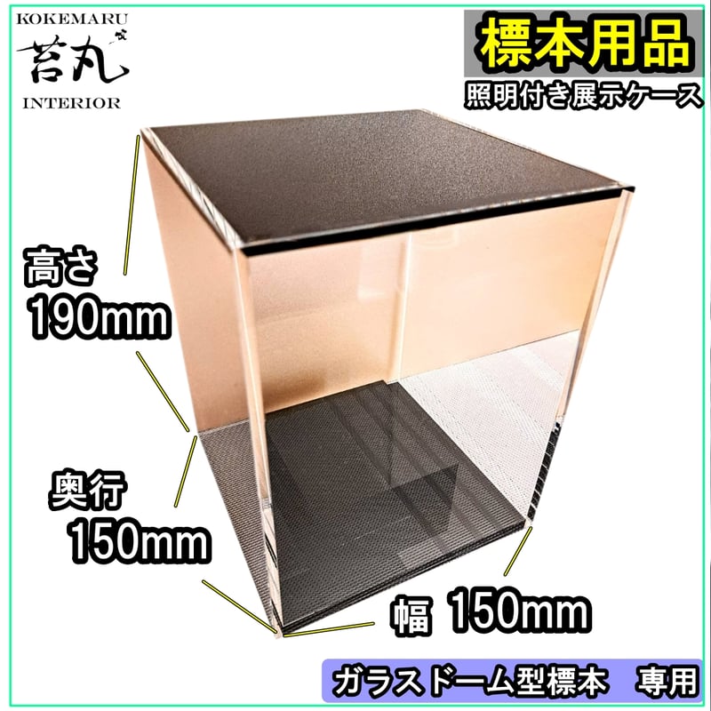 生産終了【照明付き展示用ショーケース】 | 苔丸インテリア(公式 生産終了【照明付き展示用ショーケース】 | 苔丸インテリア(公式