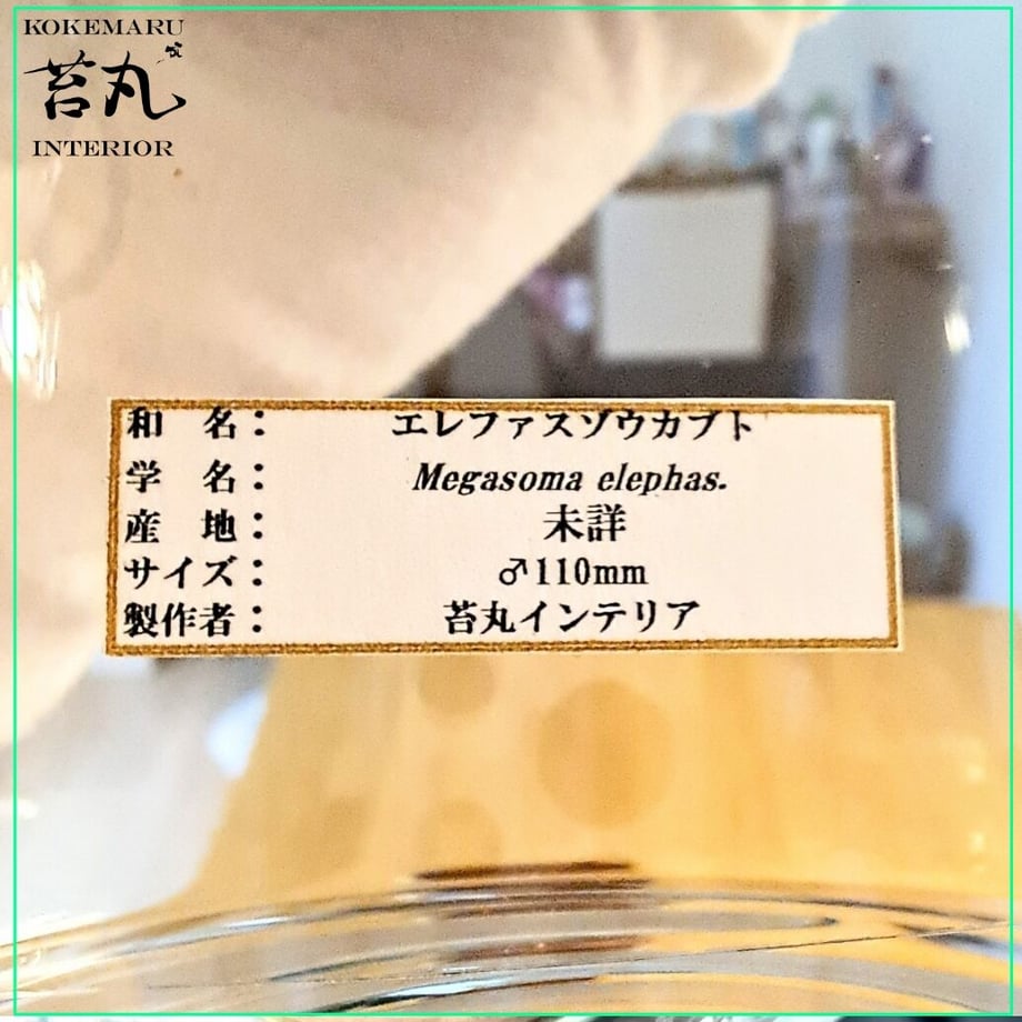 64aa6effb8793a002ee30954