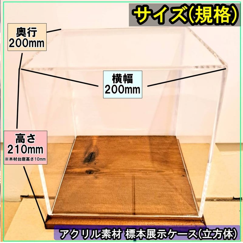 大型標本展示用ショーケース】200×200×210 ※アクリル製ケース、無垢材