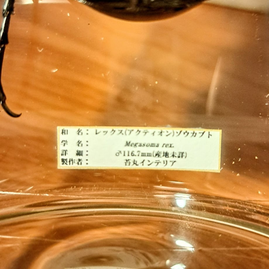 666ae4009d9d4f0714df2053