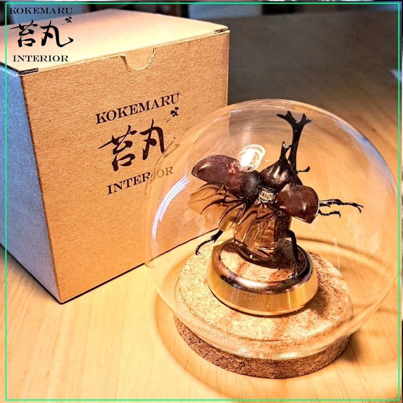カブトムシ　標本　歯車　1点物 カブトムシ 標本 歯車 1点物