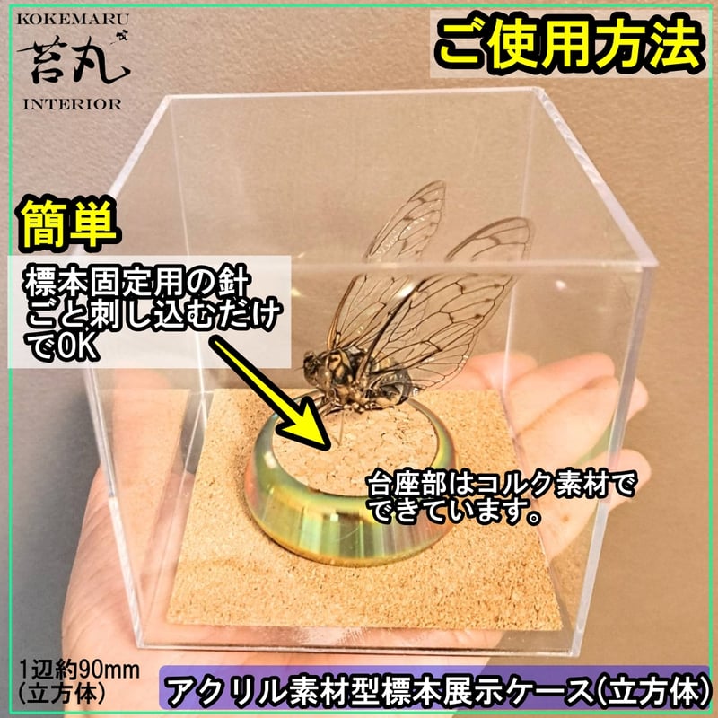 5個入りお徳用【標本展示用アクリルケース】(立方体9㎝) 5個入りお徳用【標本展示用アクリルケース】(立方体9㎝)