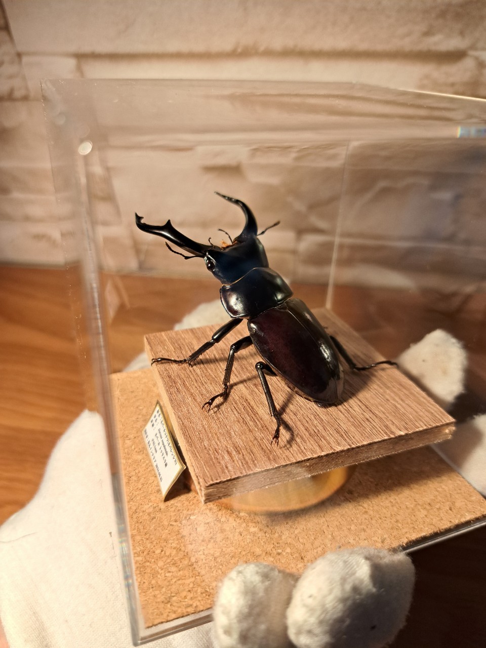 fit=scale-down,w=1200