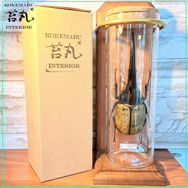 ラグジュアリー【昆虫標本】特大サイズヘラクレスオオカブト163.7mm