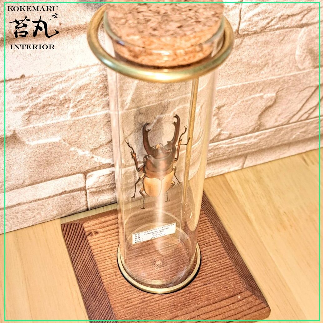 ビンテージ　ガラス製　毒壺　昆虫採集 毒壺（皮袋付） : インセクテック・ドット・コム - 通販 - Yahoo