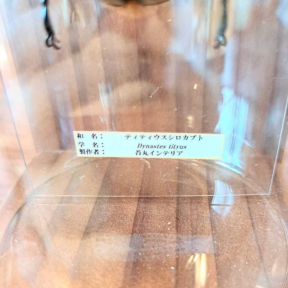 65c5c9140b53bc06302e44e6