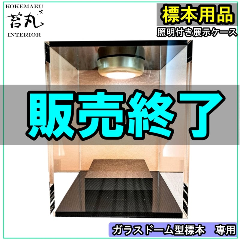 取取引完了︎温室︎ガラスショーケース︎照明、サーモスタッド付き 
