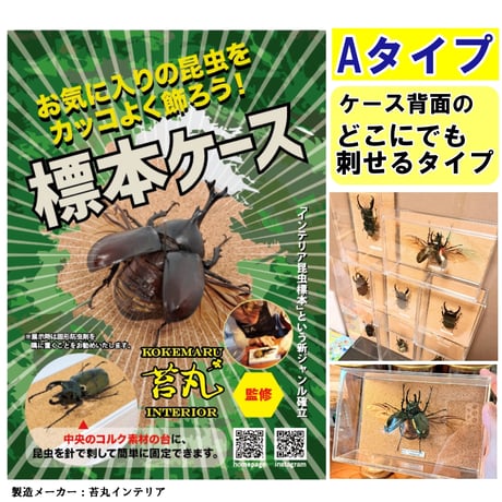 苔丸インテリア(公式ネットショップ)