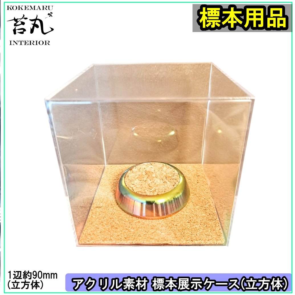 キューブ型展示ケース(M)】アクリル素材 90mmサイズ 針刺しコルク台座