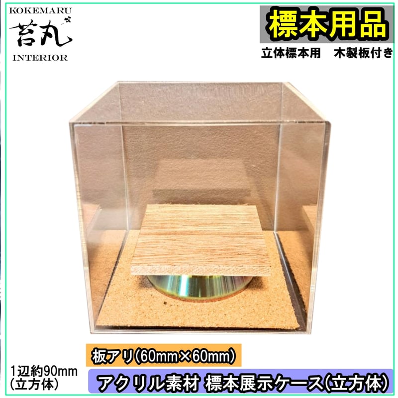 木製 展示用ケースだけ 壁面用ショーケース 木製 ガラス扉 ダウンライト付き 鍵付き