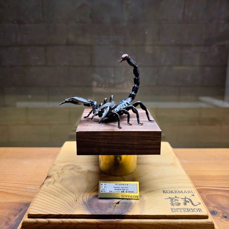 苔丸インテリア(公式ネットショップ)